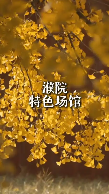 嘉兴旅游小众打卡清单，来濮院特色场馆解锁多元古镇乐趣