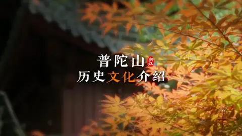 来浙江旅行,一定别错过普陀山,这座小岛到底藏着怎样的故事?