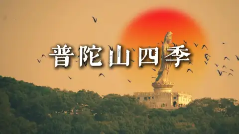 普陀山什么时候去最好?春夏秋冬四种打开方式,总有一种能惊艳来舟山旅游的你