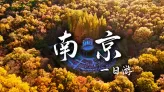来南京旅游到底怎么玩？从总统府到大报恩寺，南京景点精华全在这了