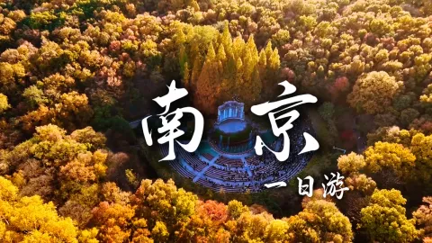 【南京一日游-市博线】来南京旅游到底怎么玩?从总统府到大报恩寺,南京景点精华全在这了