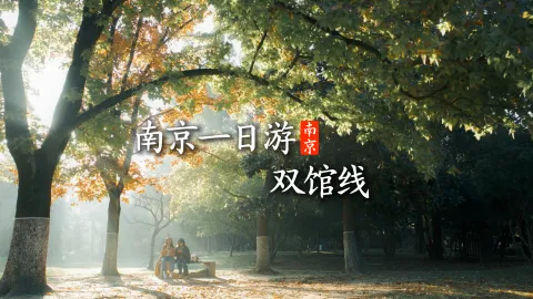 南京一日游到底有多舒服?南京旅游纯玩无压力,只有风景和故事
