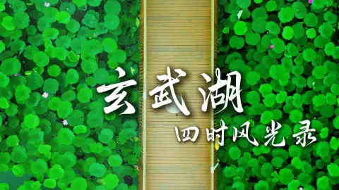 来南京必打卡!南京旅游分享,玄武湖景点,四季风光抢先看