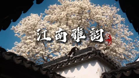 【江南雅韵3天2晚】想去杭州旅游看这个就够了!