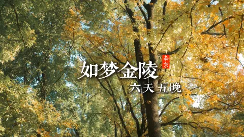 【如梦金陵6天5晚】江苏旅游攻略,一次性看遍南京景点,游两座古城