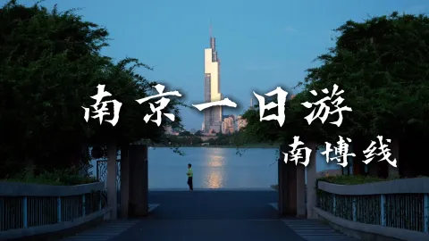 【南京一日游-南博线 】来南京旅游不知道去哪玩？看这个就够了