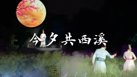 来杭州旅行,别错过西溪!白天是湿地,夜晚是宋朝,打卡催泪又浪漫的杭州故事
