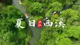 夏日去杭州旅游哪里最舒服？答案就藏在西溪湿地这片绿野仙踪里