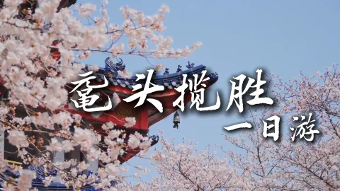 【鼋头揽胜1日游】无锡一日游灵山太湖鼋头渚惠山古镇深度游