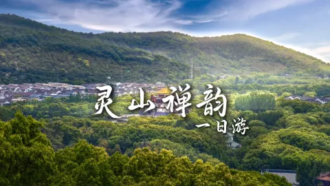 【灵山禅韵1日游】无锡休闲游绝佳路线，祈福，古镇全包揽