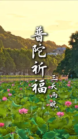 【普陀祈福3天2晚】不必辗转奔波,跟着这条路线看遍浙江热门景点
