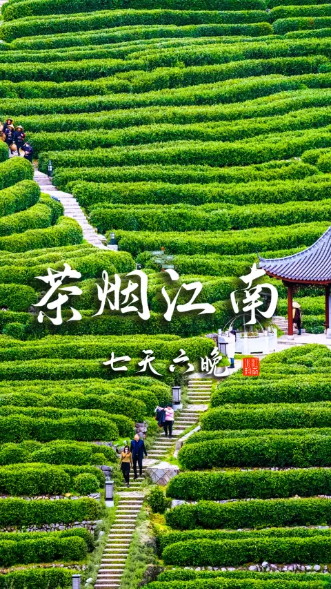 茶有余香，这场杭州、苏州和南京旅行也总让人回味无穷
