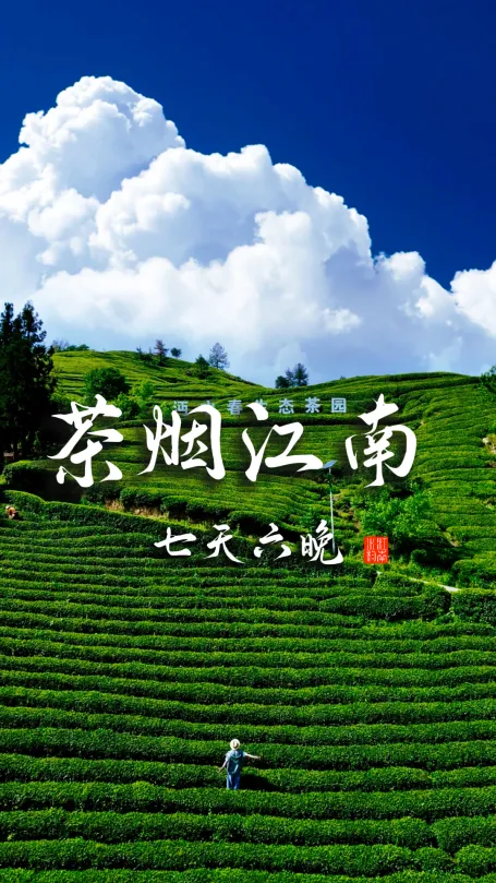 顺着一条茶路,走过杭州、苏州、南京三城,开启一场独特的中国旅行