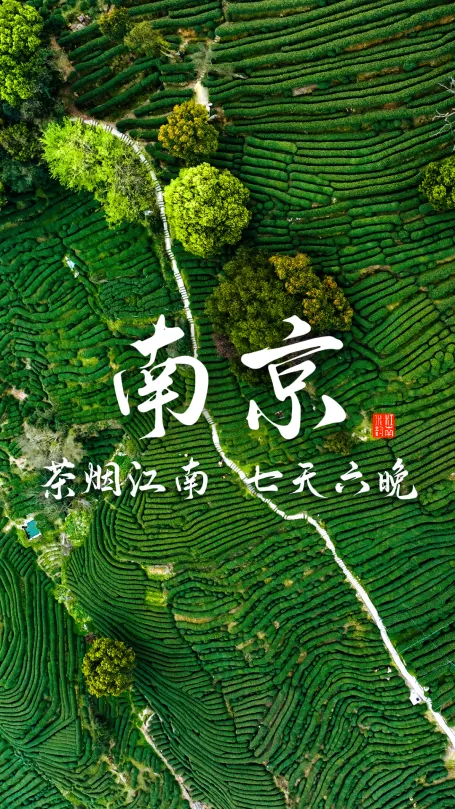 茶香入金陵:解锁小众顶配的南京之旅
