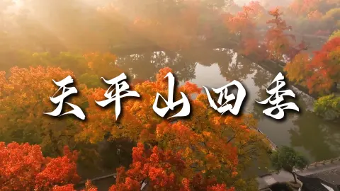 天平山四季 ！ 一座没有淡季的山：来苏州旅游，解锁天平山四季之美