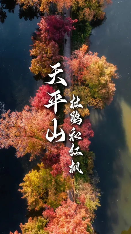 錯過等一年!天平山限定盛景,專屬旅行定製省心遊玩蘇州天平山