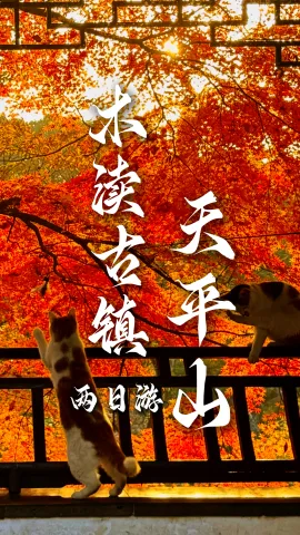 逃离城市喧嚣，绿色旅行网带您两日游玩苏州城西，邂逅江南温柔