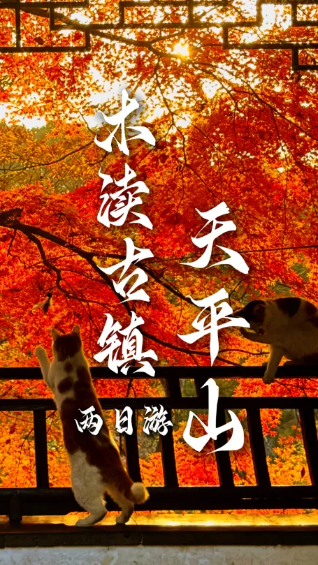 逃离城市喧嚣，绿色旅行网带您两日游玩苏州城西，邂逅江南温柔