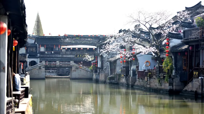 西塘运河两岸白墙石桥与岸边春花