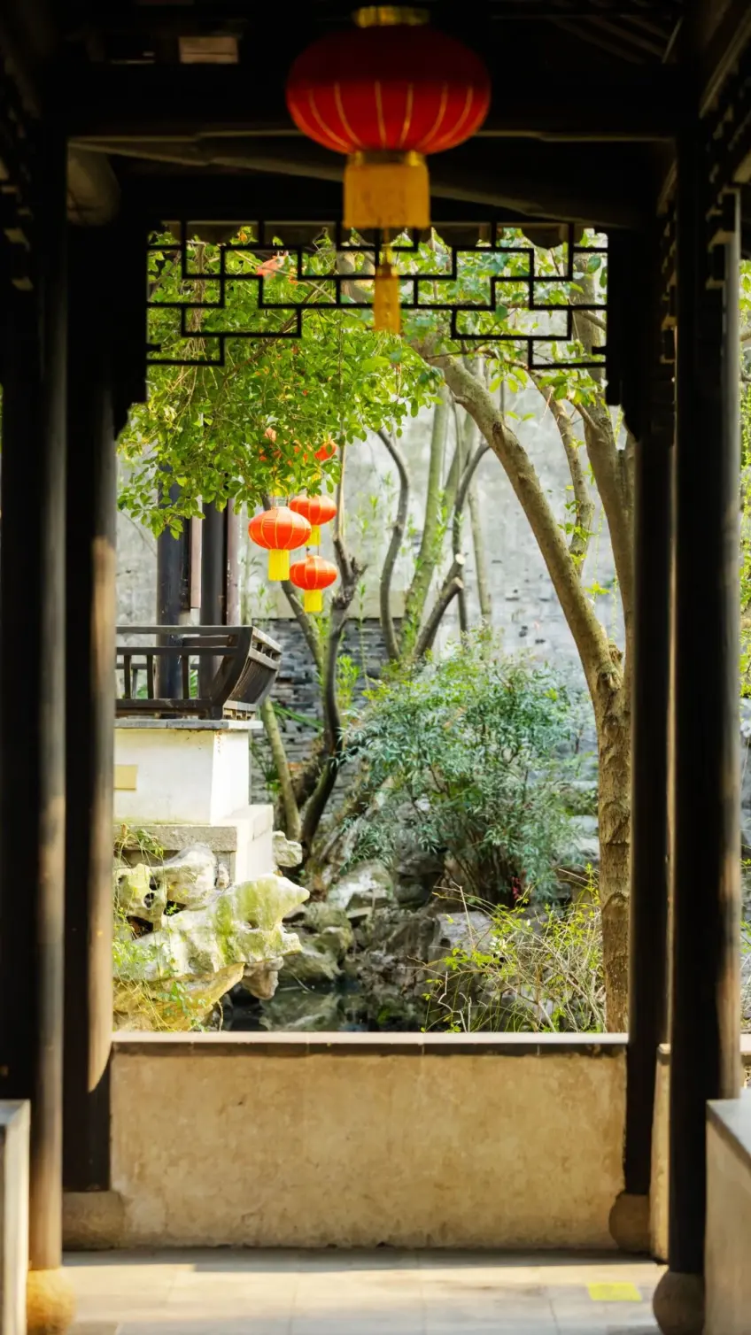西园廊下望庭院树木与石景