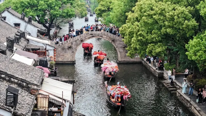 西塘运河花船列队驶过拱桥俯瞰