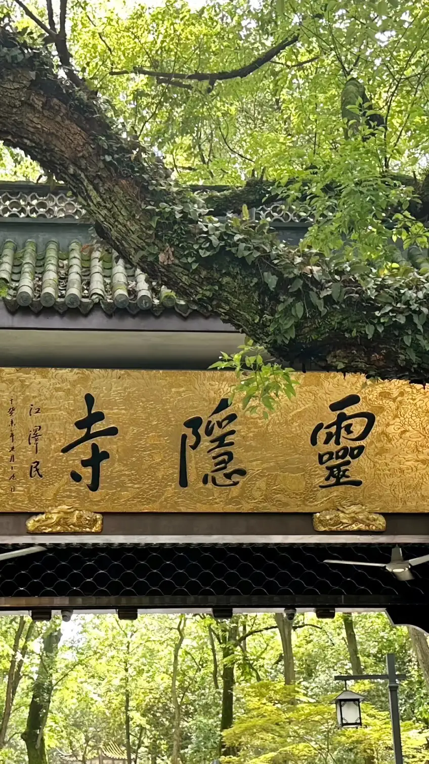 灵隐寺山门金匾「靈隱寺」与绿荫入口