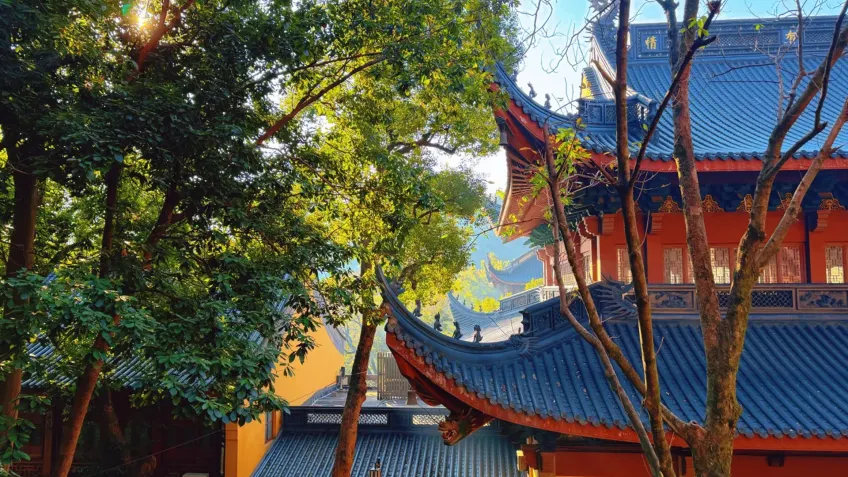 灵隐寺橙墙重檐与秋林层叠屋顶一角