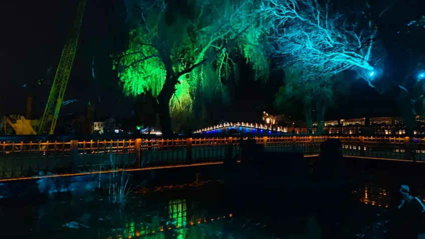 周庄夜景彩灯映古桥与岸边树影