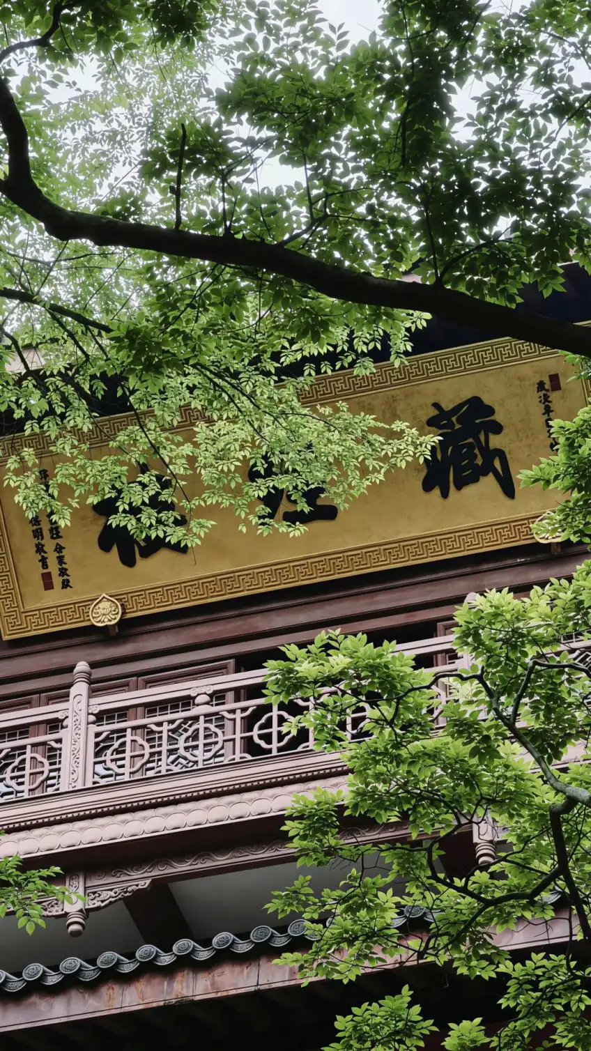灵隐寺藏经楼匾额与绿叶