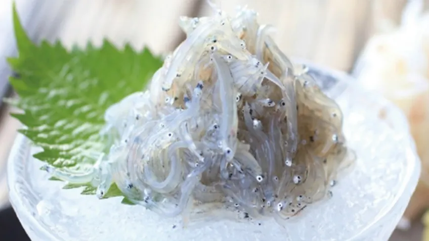 玻璃碗冰镇银鱼堆与紫苏叶点缀