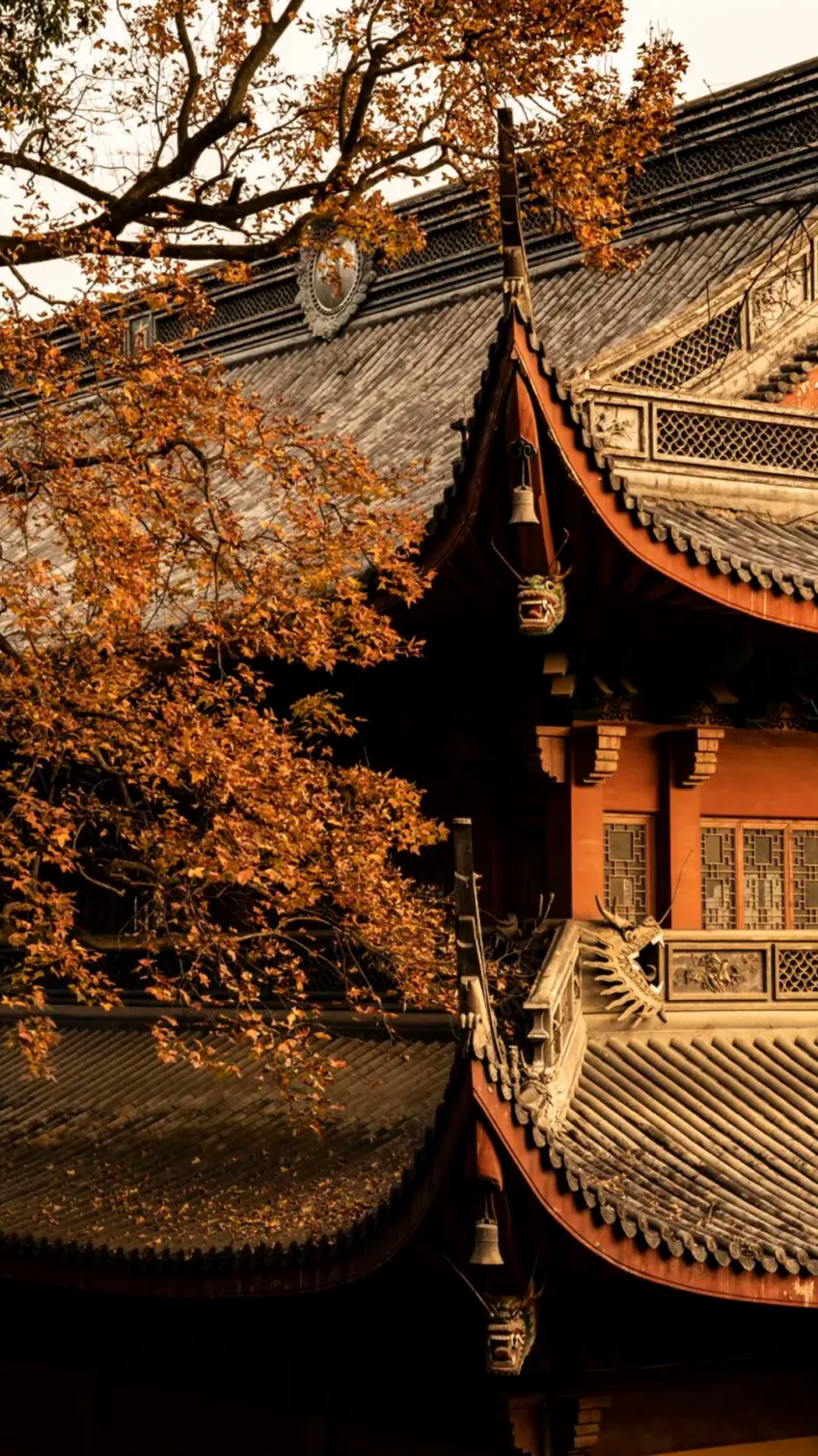 灵隐寺秋叶覆屋檐飞翘龙吻风铃竖图
