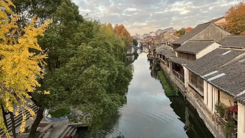 南浔丝商园林庭院一角景致