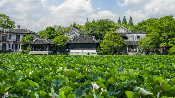 小莲庄