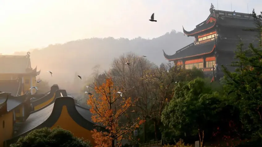 灵隐寺晨雾黄墙殿宇与飞鸽掠过山谷