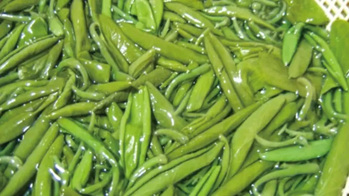 莼菜