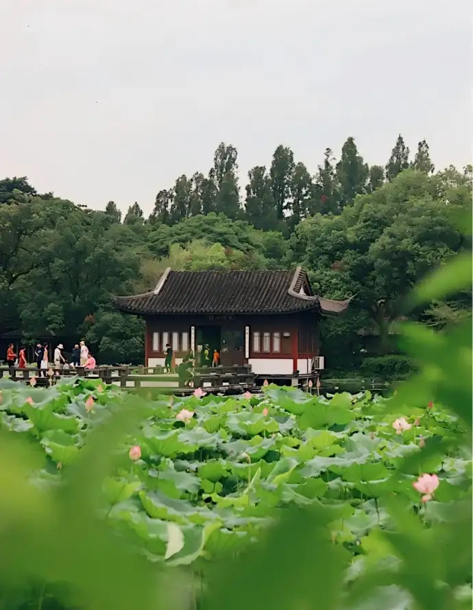 西湖风景