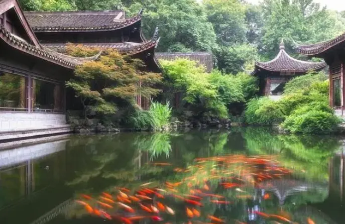 花港观鱼