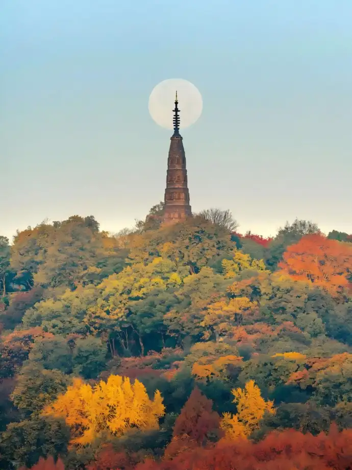 西湖风景