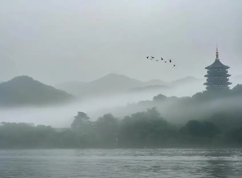 杭州西湖烟雨中雷峰塔与飞鸟