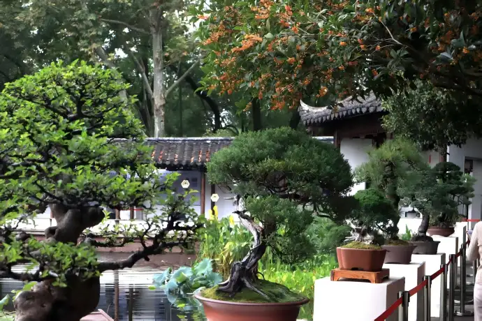 西湖郭庄