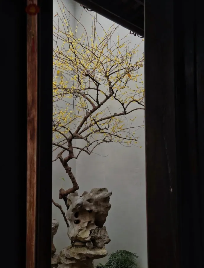 胡雪岩故居