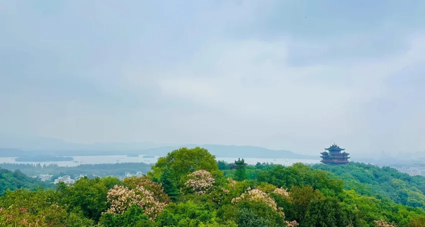 吳山城隍閣與西湖山色林木全景
