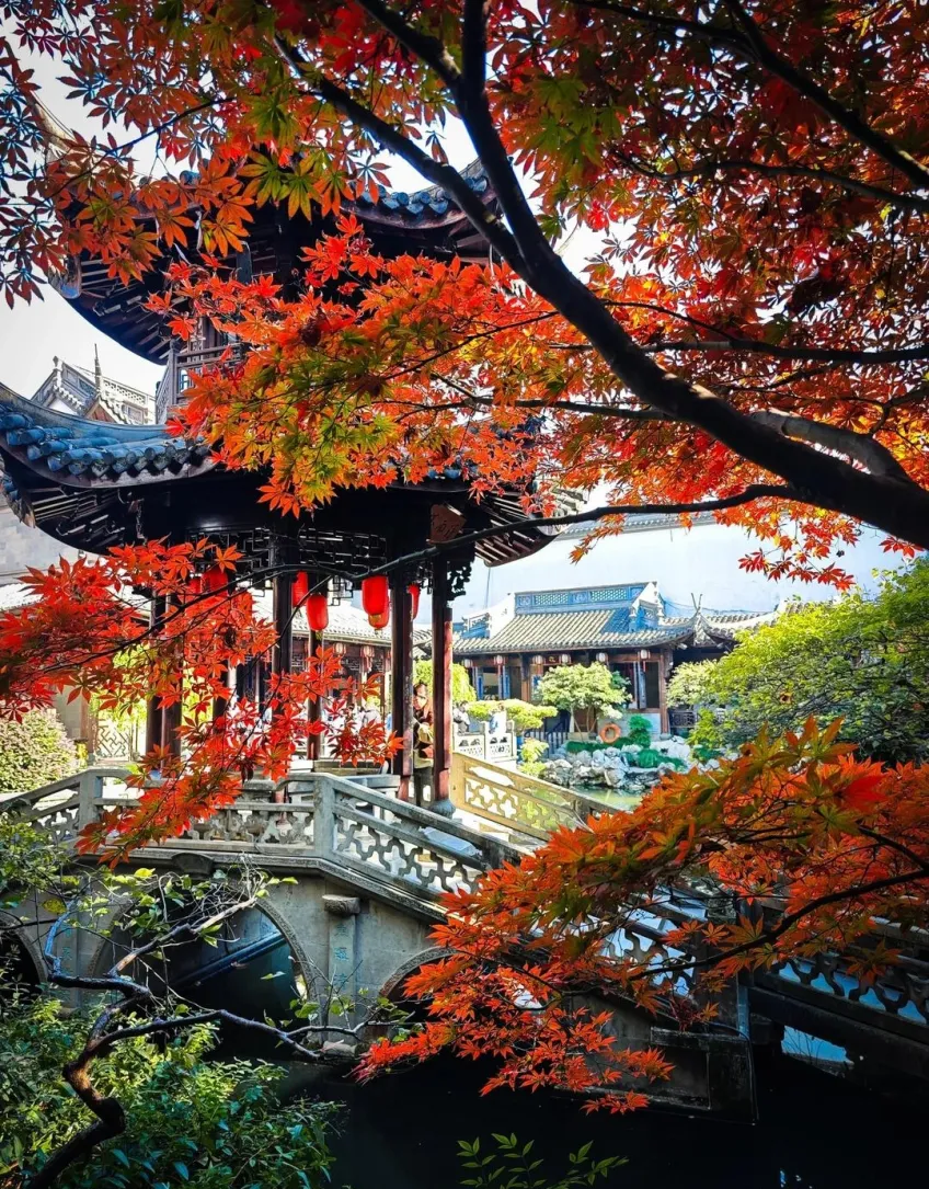 芝園秋楓石橋與亭廊水景