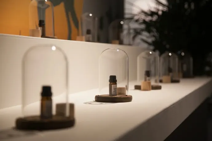 植物香味体验