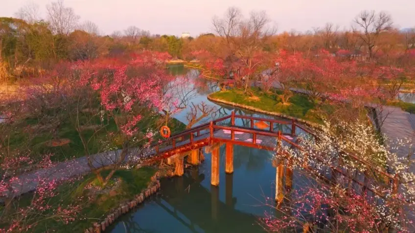 烟水渔庄临水廊道与湿地水景