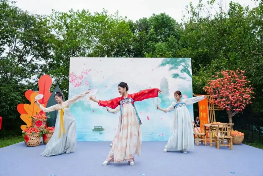 火柿节汉服三人舞台旁堆满红柿