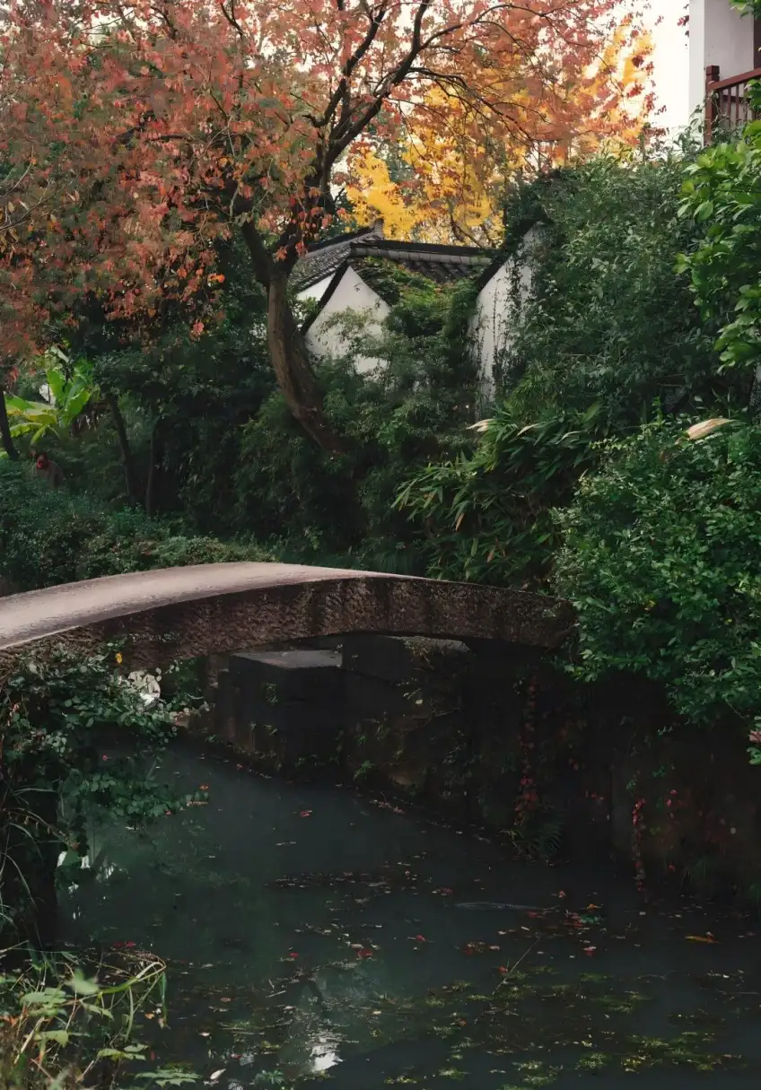 秋雪庵院落建筑与芦荡远景