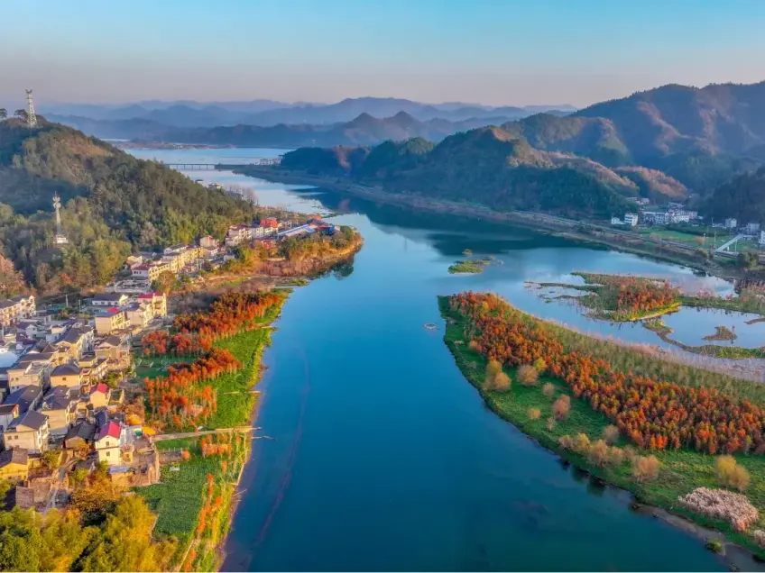 两岸秋叶环绕的湖湾航拍