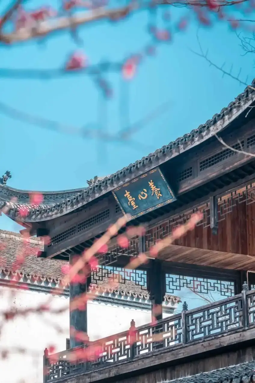 文渊狮城养心室匾额与飞檐近景