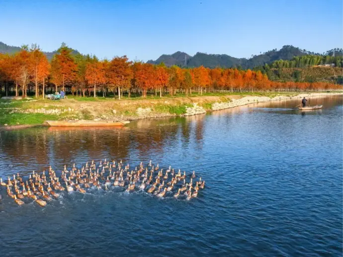 千岛湖风景